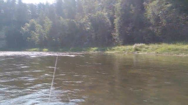 Сплав по реке Белой в 2017 году смотреть онлайн