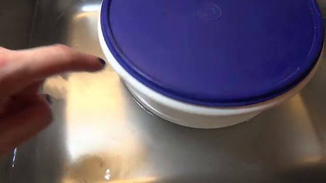 Зоопарк и Дикие Животные