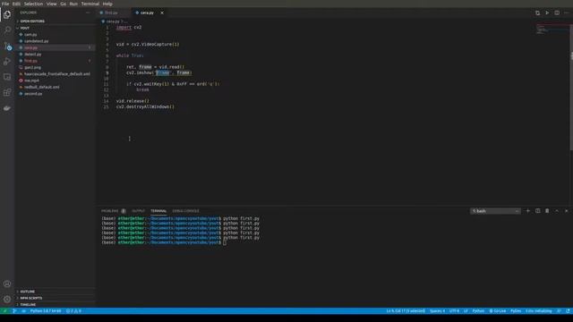 Introduction to openCv in python смотреть онлайн