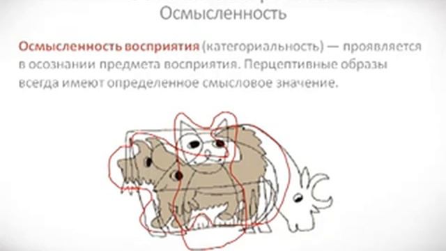 Психология урок 20 Свойства восприятия смотреть онлайн
