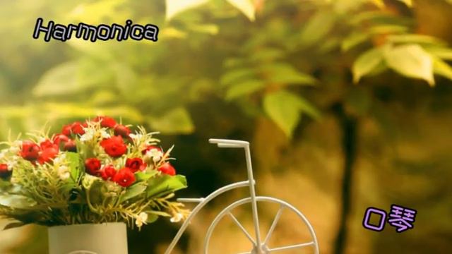 口琴 Harmonica - Garden love смотреть онлайн