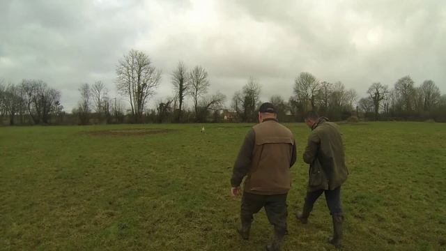 entraînement setter 10 mois смотреть онлайн
