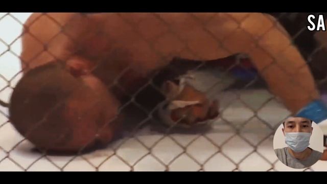 Шавкат Рахмонов сообщил новости о следующем бое в UFC! смотреть онлайн