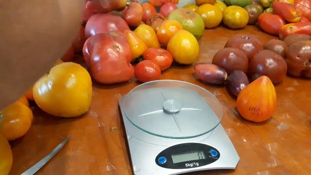 взвешиваю и режу томаты. Семена заготавливаю. Каталог семян будет в сентябре, не пропустите. смотреть онлайн