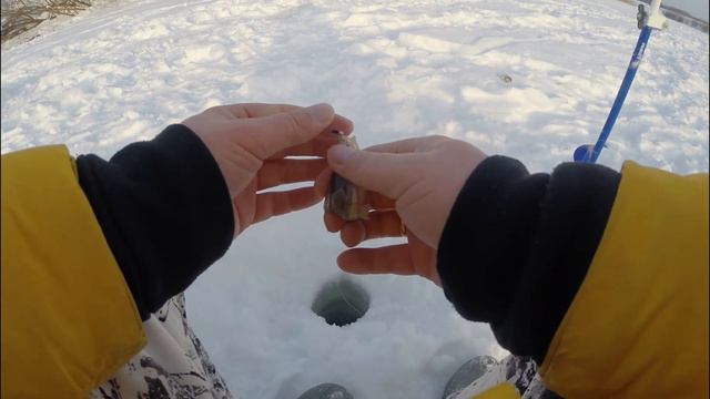 Глухозимье | Рыбалка смотреть онлайн