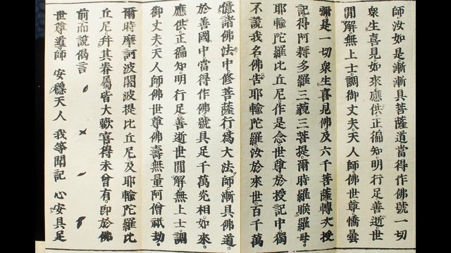 妙法蓮華経勧持品第13 法華経 The Lotus Sutra Chapter 13 सद्धर्मपुण्डरीक सूत्र, Saddharma Puṇḍarīka Sūtra смотреть онлайн