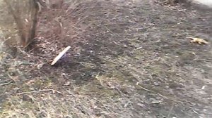 Мальчик выкидывает игрушки из окна