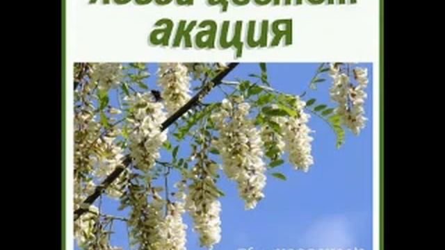 Когда Цветёт Акация. Вальс. Елена Кордикова (Тася Мейерхольд). смотреть онлайн
