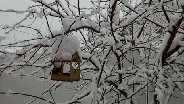 Снегопад в Подмосковье. Сказочный сад смотреть онлайн