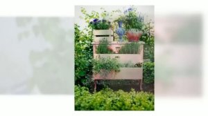 Красивые клумбы на даче