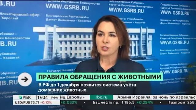В РФ до 1 декабря появится система учёта домашних животных смотреть онлайн