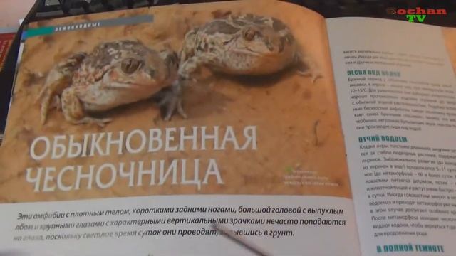 "Наша Флора и Фауна" №57. Обзор. Патворщик шоу. смотреть онлайн