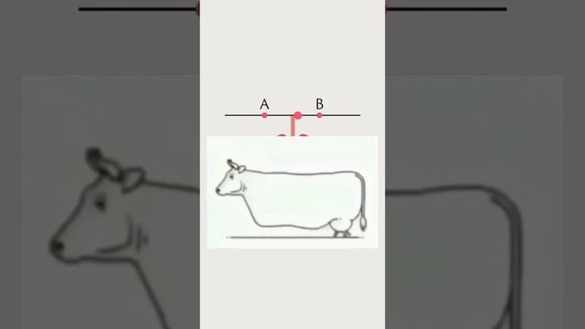 Тест на задержку дыхания