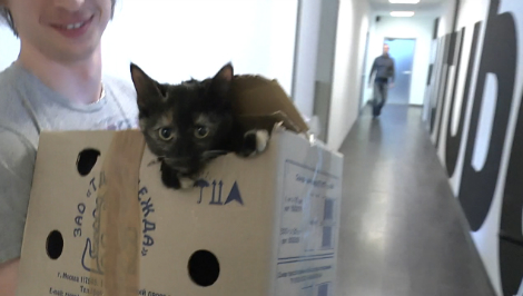 Эпичная игрушка