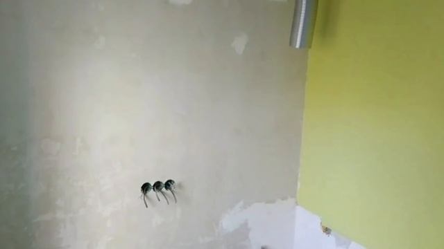 Кухоньке подарили вторую жизнь! Ремонт в крохотной кухне хрущевки: бюджетно, красиво, практично смотреть онлайн
