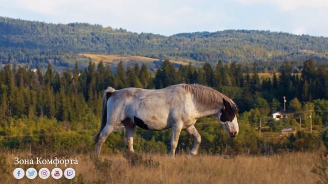 Музыка Для Души! смотреть онлайн