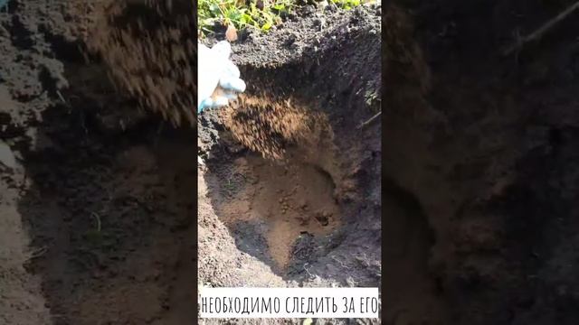 Пейте кофе с пользой. Правильное использование кофейной гущи. смотреть онлайн