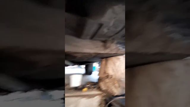 Транспортная любовь