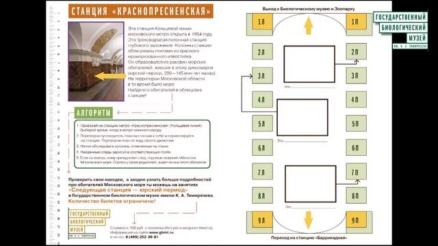 Занятие-квест «Следующая станция Юрский период»