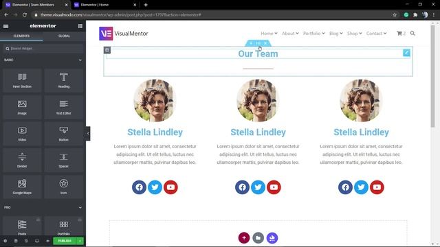 How To Create a Team Members Page With Elementor WordPress Plugin Free? смотреть онлайн