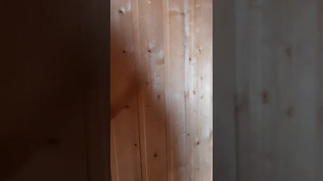 ковш для бани,нержавейка, липа. смотреть онлайн