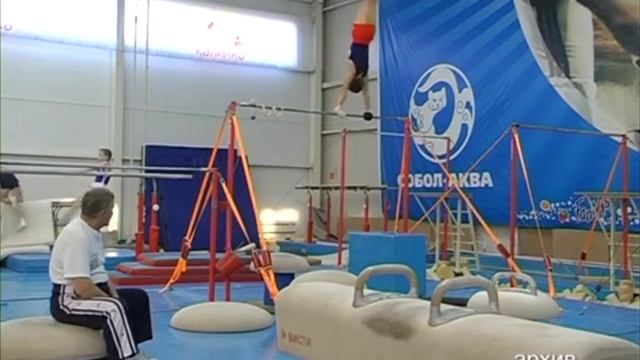 27 08 2016 Законный интерес Развитие спортивной гимнастики в Новосибирской области смотреть онлайн