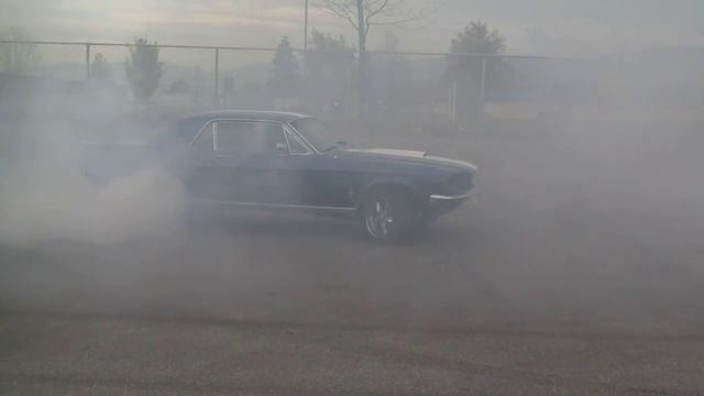 Stef's 68 Mustang Burnout 1:15 Long смотреть онлайн
