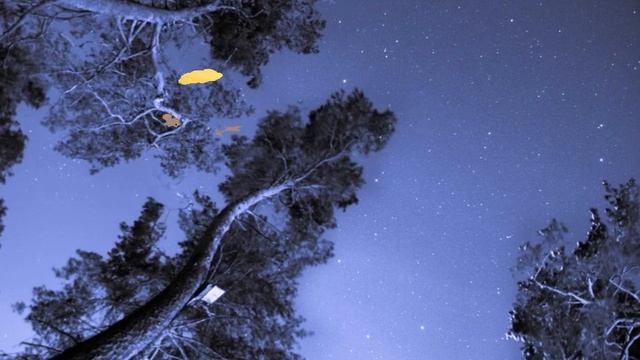 В. Мигуля. Первое Апреля. Поет Г. Белов смотреть онлайн