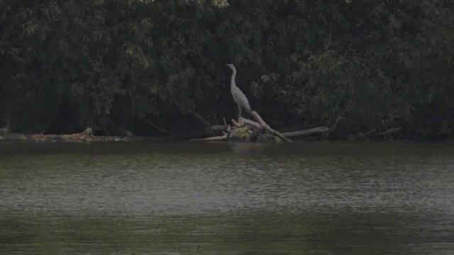 Зима! Авторская лирика! смотреть онлайн