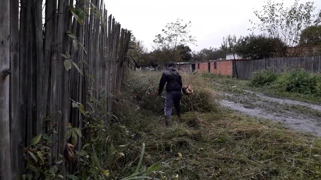 Cortando malezas con sthil fs 250 смотреть онлайн