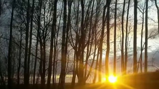 Виктория Тульская"Нивы сжаты"/"Fields are harvested" смотреть онлайн