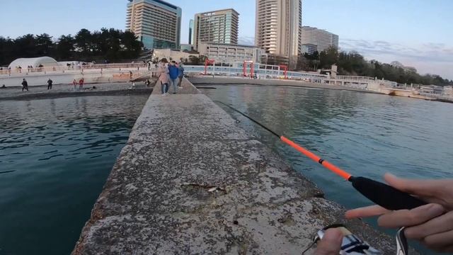 Ставрида пришла в Сочи: Рыбачу с буны смотреть онлайн