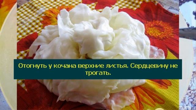 Фаршированная капуста по-литовски смотреть онлайн