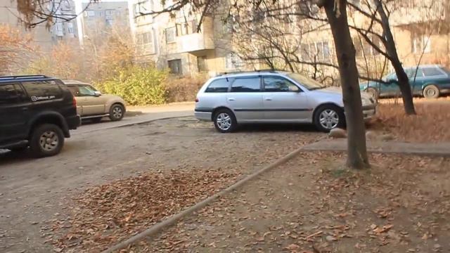 микрорайон Жетысу-2, как выглядел участок, на котором 5 месяцев никто не убирался смотреть онлайн