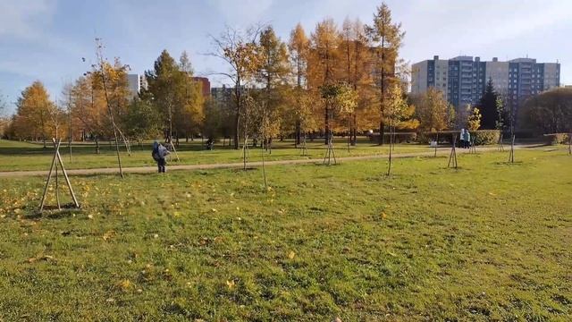 Игры с дошкольниками в парке Малиновка. Санкт-Петербург. Октябрь 2023г. Наставник Русанов Алексей смотреть онлайн