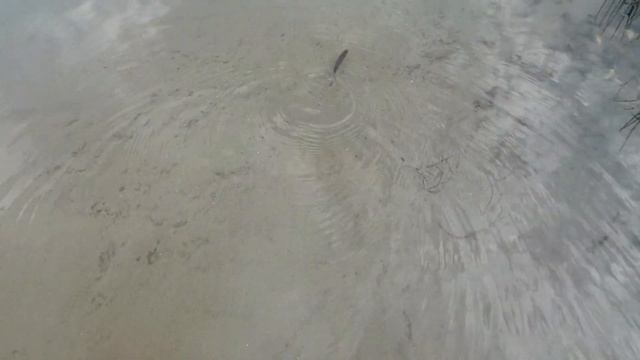 Соль-Илецк! Поймали рыбку на реке Илек! Август 2019г. Отдых в Соль-Илецке! смотреть онлайн