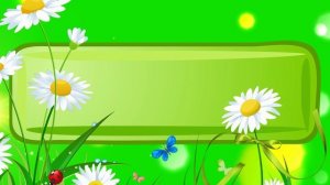 Футаж. Фон для надписи 6