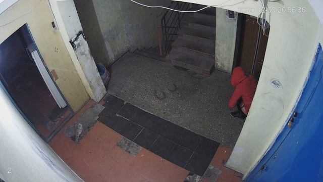 Пьянь насцала смотреть онлайн