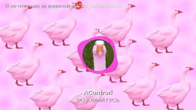 Розовый гусь (Песня) смотреть онлайн
