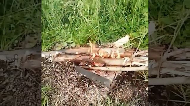 #рыбалка#озеро#носовихинское шоссе смотреть онлайн