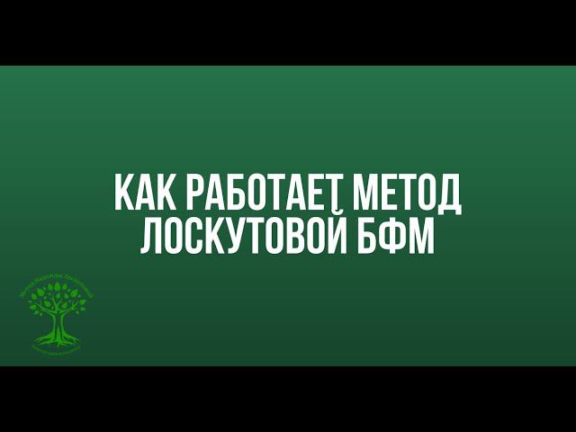 Как работает метод Лоскутовой БФМ? смотреть онлайн