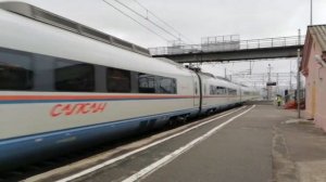 Сапсан летит всем боятся