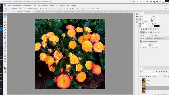 Как добавить товар в интернет магазин на Wordpress Woocommerce | Добавление карточки товара смотреть онлайн