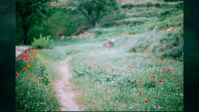 "Охрана растений", Окружающий мир 3 класс ч.1, с.97-98, Планета знаний. смотреть онлайн