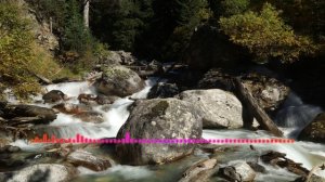 Роза Гамидова - Бывшая 2023