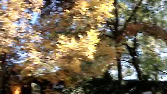 1960 Pirates 50th Anniversary replay Mazeroski home run смотреть онлайн