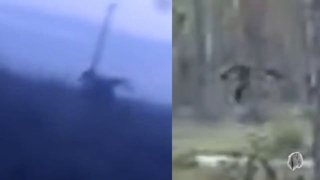 03 NEW BIGFOOT FOOTAGE FROM RUSSIA Teenagers Chased by Strange Bigfoot Creature MBM 97 смотреть онлайн