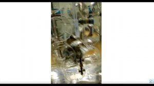 Самый простой в Мире Вечный Двигатель Поплавок с переменной плавучестью.