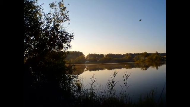 Карповая ловля! Ловля карпа на кукурузу. смотреть онлайн