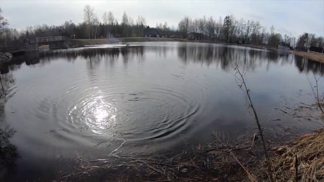 Ловля ручьевой форели. Взял первых рыбок в этом году. Красивое место, где живет Ручьевая Форель. смотреть онлайн